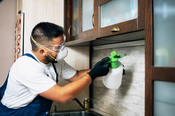 Best Mosquito Control Services  in New Port Richey, FL