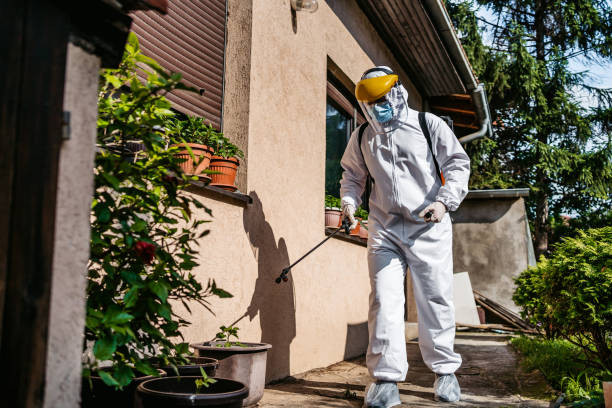 Trusted New Port Richey, FL Pest Control Experts