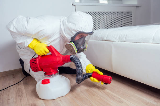 Best Affordable Pest Control Services  in New Port Richey, FL